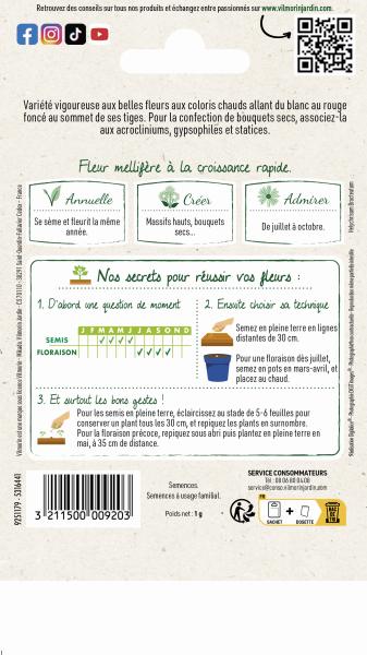 Fleurs - Immortelle à Bractées Double Variée - MEDIA_PACKAGING_VERSO